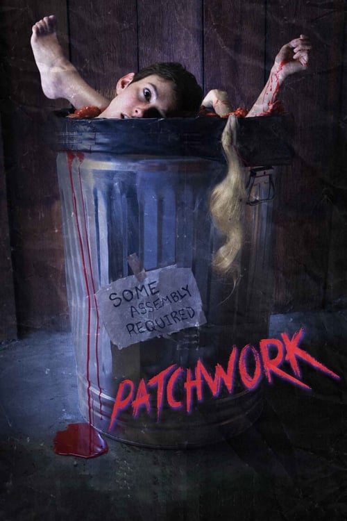 Sinopsis Patchwork (2015) Sub Indo