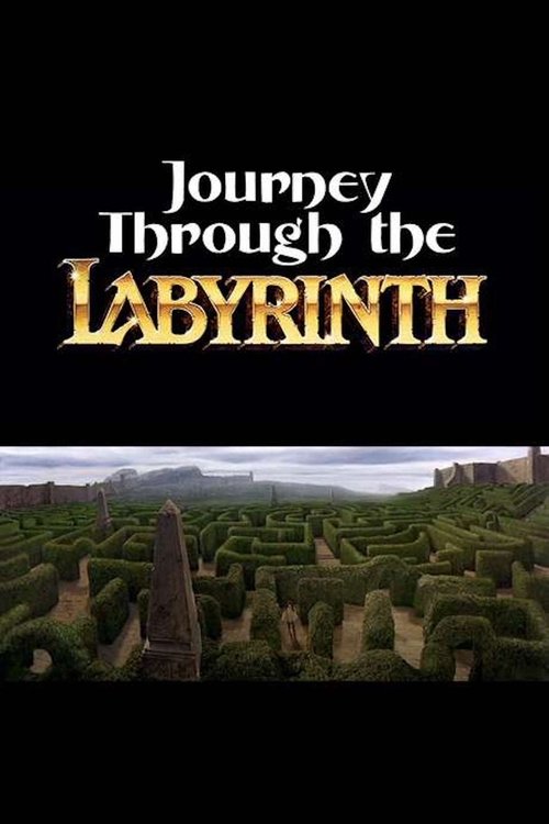 Rekomendasi Journey Through the Labyrinth (2007) Terlengkap
